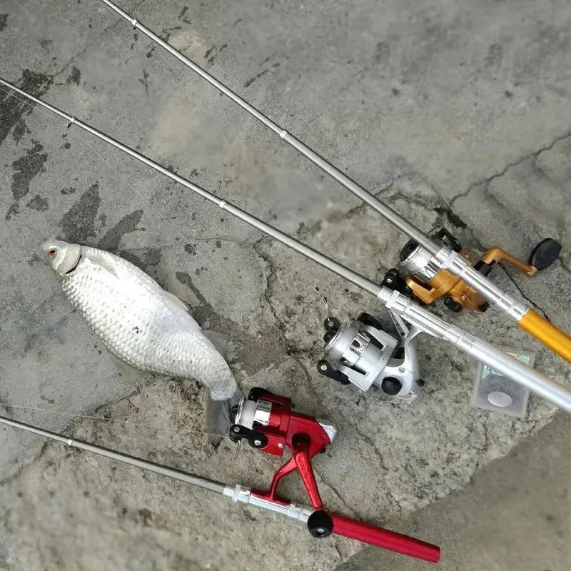 S756b6cd8f11e490d9c44ccb4d195c7cb3